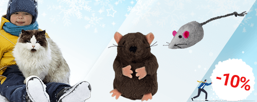 Jouets pour chats : parfaits en dessous du sapin